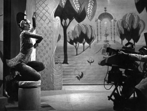 sand-integument-100613