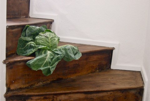 schollers-are-260613