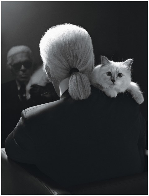 his-sterility-040913