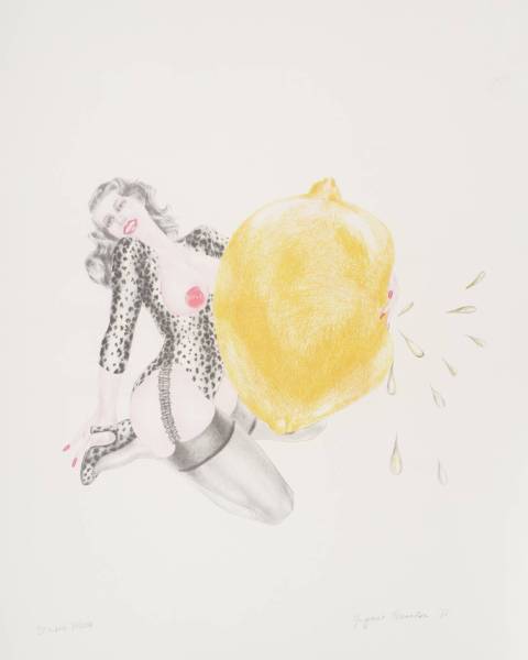 Take One Lemon 1971 by Margaret Harrison born 1940